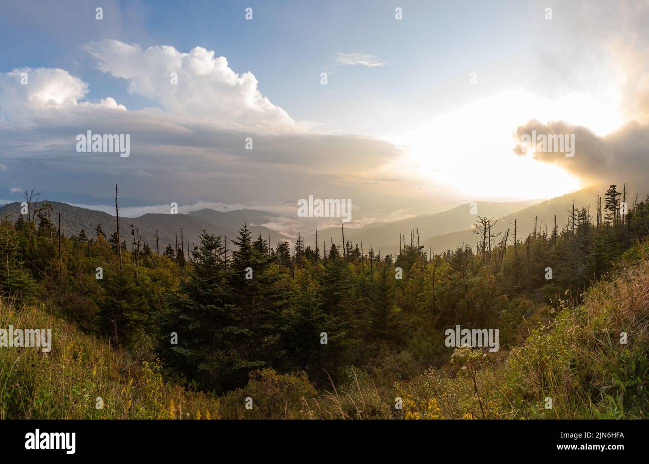 Clingmans im Great Smoky Mountains National Park Stockfoto