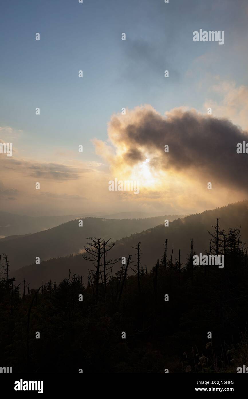 Clingmans im Great Smoky Mountains National Park Stockfoto