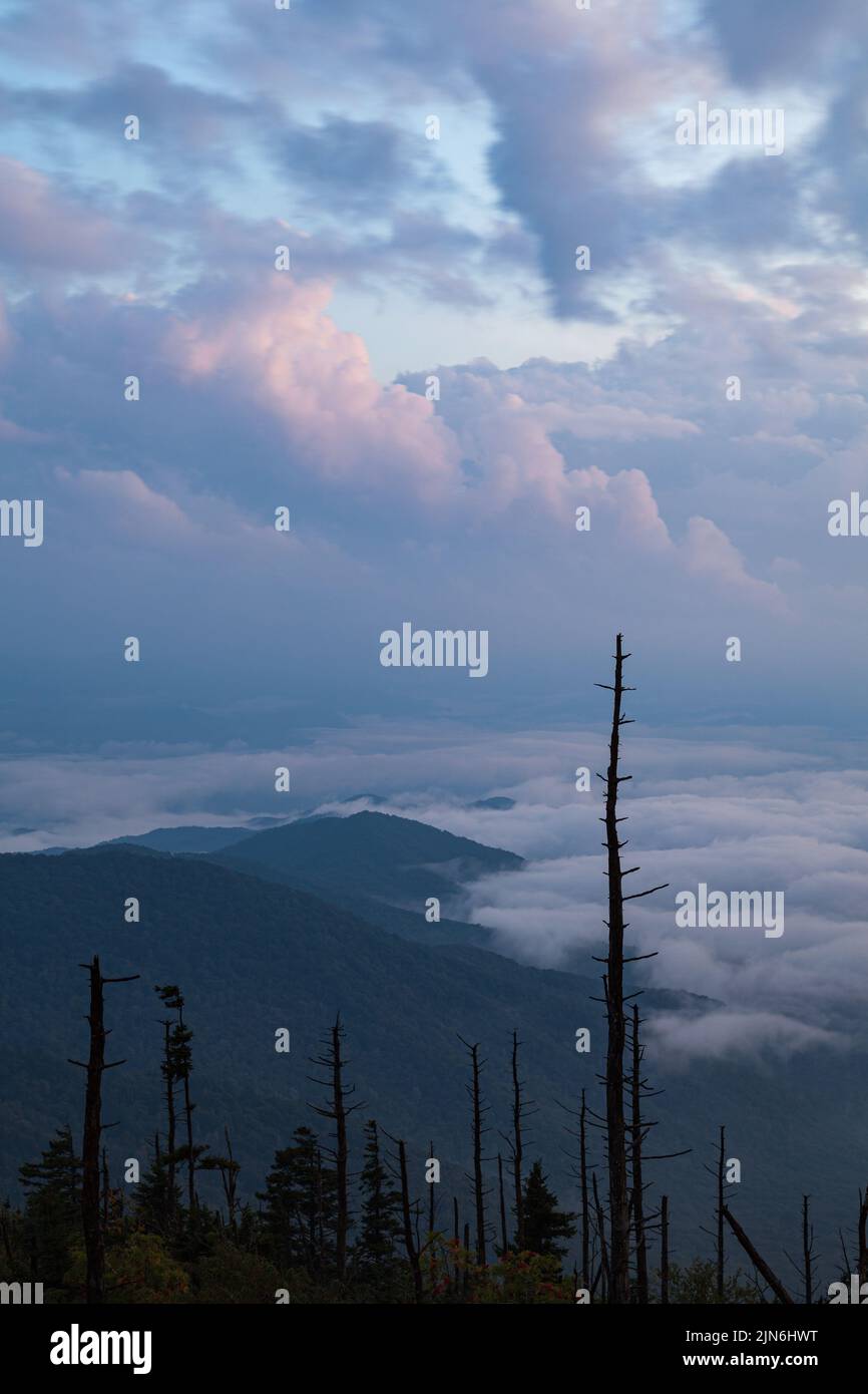 Clingmans im Great Smoky Mountains National Park Stockfoto