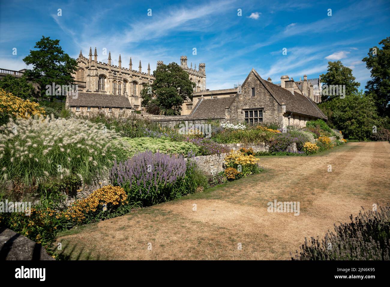 Oxford, Großbritannien, August 9. 2022. Dürretolerante Pflanzen in den Christ Church Gärten von Oxford gedeihen in der heißen Sommersonne, während die normalerweise üppigen Rasenflächen, die sie umgeben, nach dem langen trockenen Wetter strohgelb sind. Kredit: Martin Anderson/Alamy Live Nachrichten Stockfoto