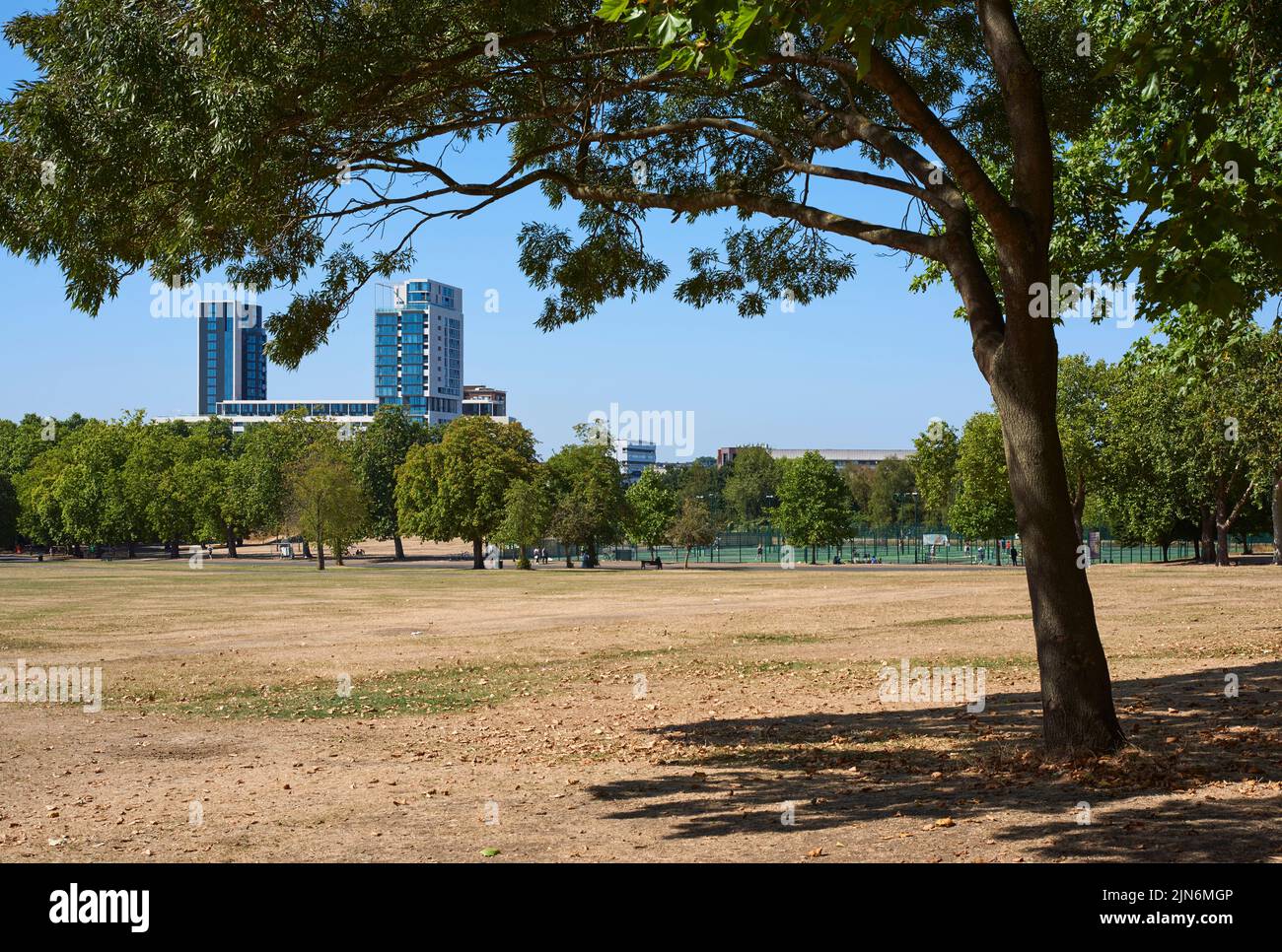 Finsbury Park, North London, Großbritannien, während des trockenen Wetters und des heißen Wetters Anfang August 2022 Stockfoto