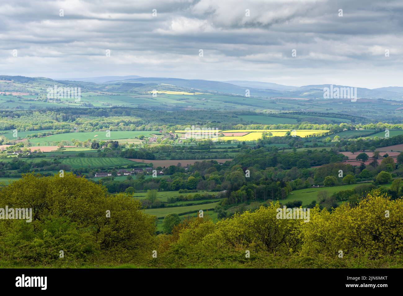 Der Blick vom Cothelstone Hill in den Quantock Hills der Brendon Hills im Exmoor National Park im Frühjahr, Somerset, England. Stockfoto