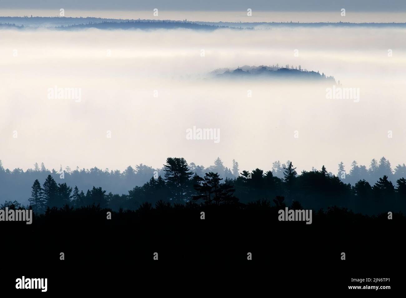 Acadia National Park, Maine. Landschaftlich schöner Blick auf die Bucht des Franzosen und den frühen Morgennebel. Stockfoto