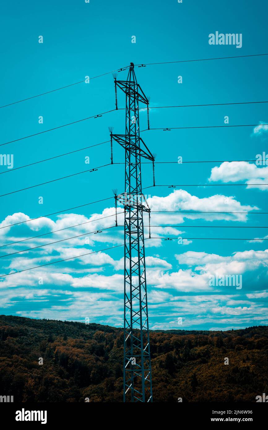 Schöne und detailreiche Porträts im Außenbereich. Stockfoto