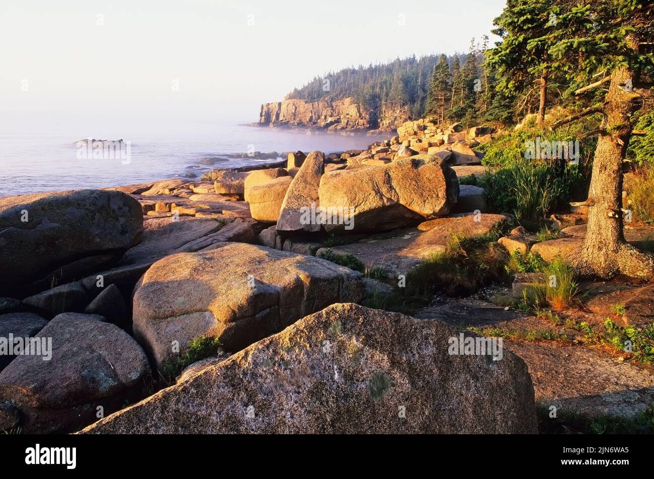 Acadia National Park, Maine. Malerischer Blick auf Otter Cliffs im frühen Morgenlicht. Stockfoto