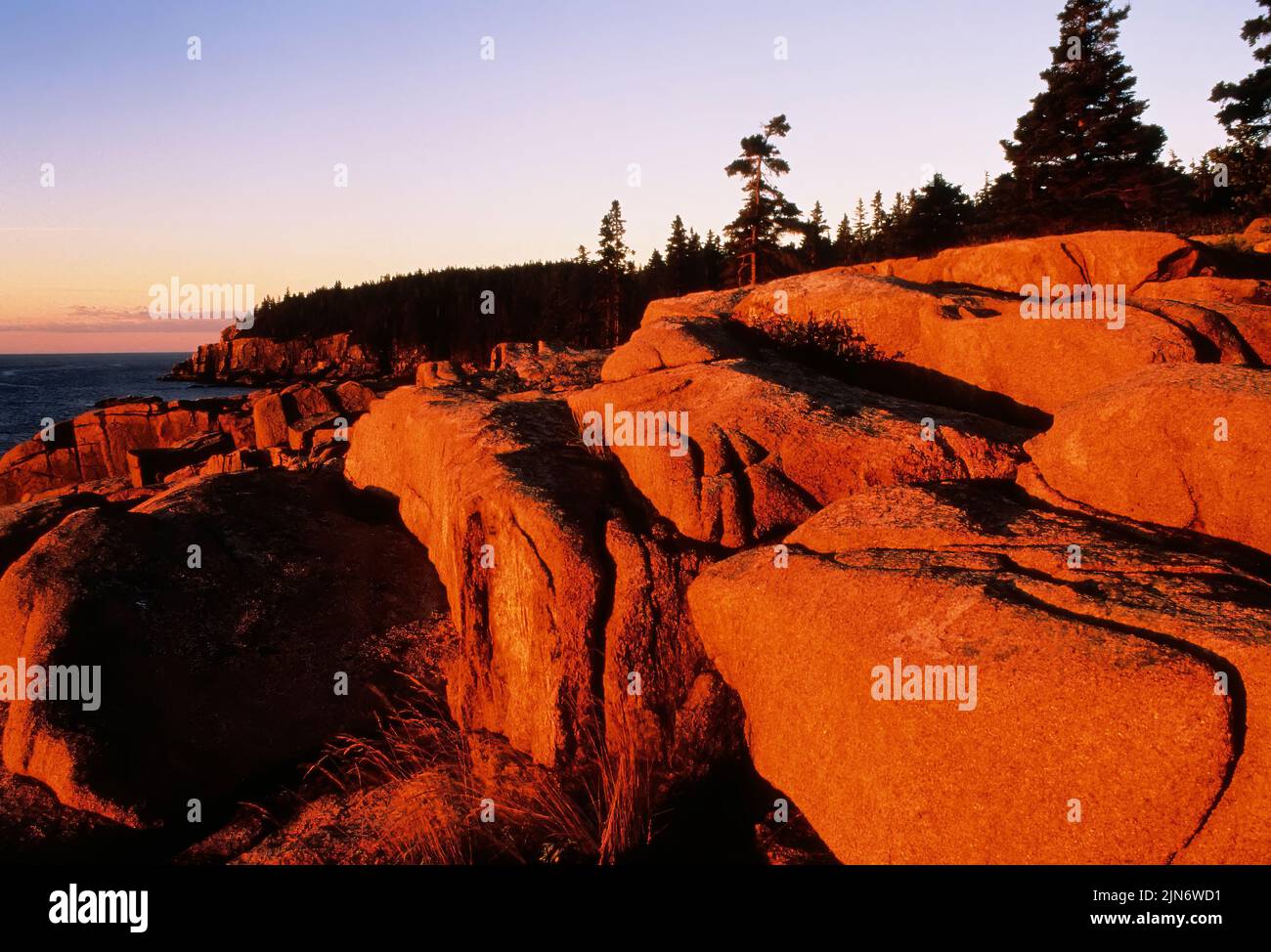Otter Cliffs dämmert landschaftlich im Acadia National Park Stockfoto