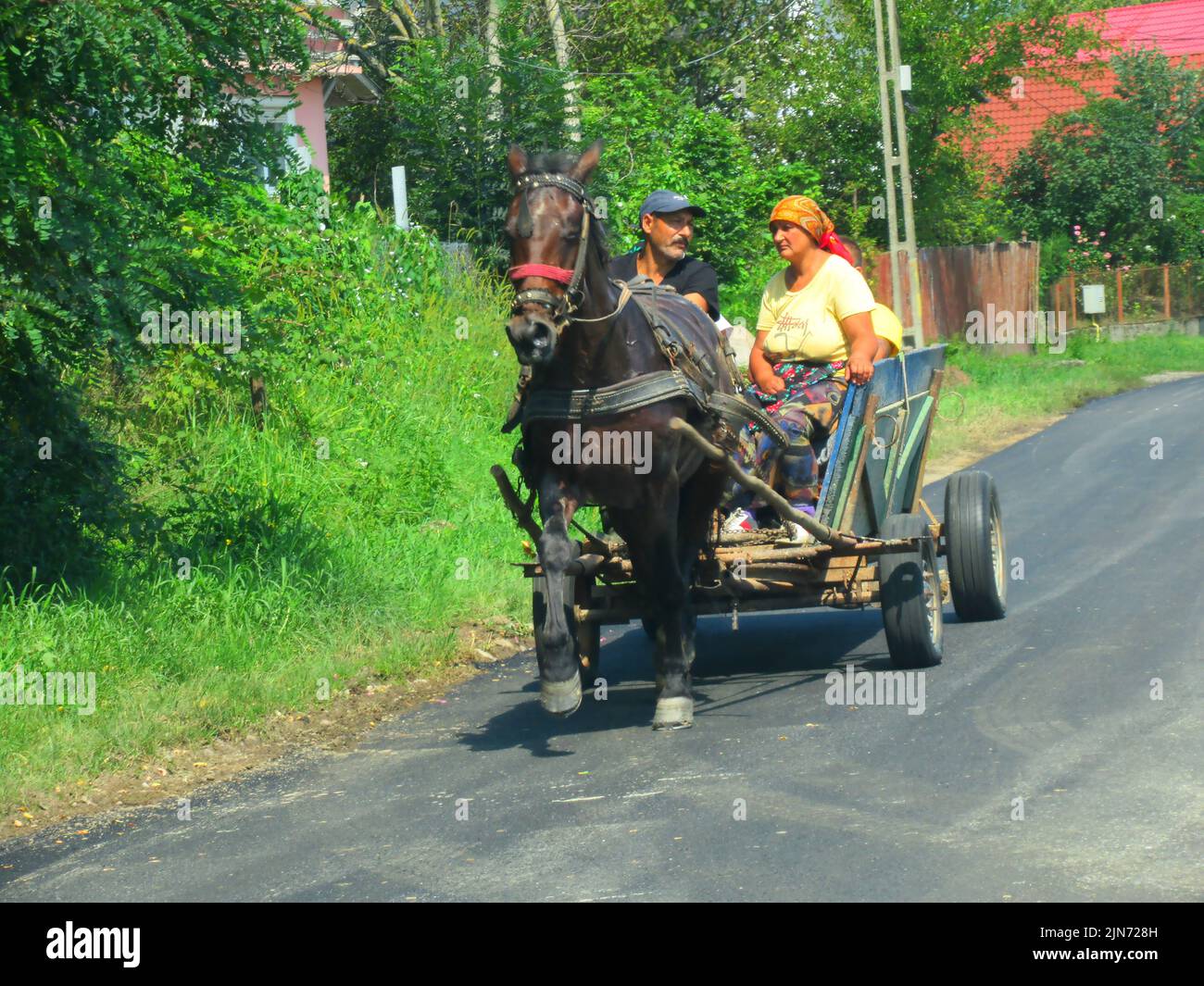 Eine Grafschaft in Nordrumänien, in der Region Moldawien, hat fast so viele Pferdewagen wie Autos. Stockfoto