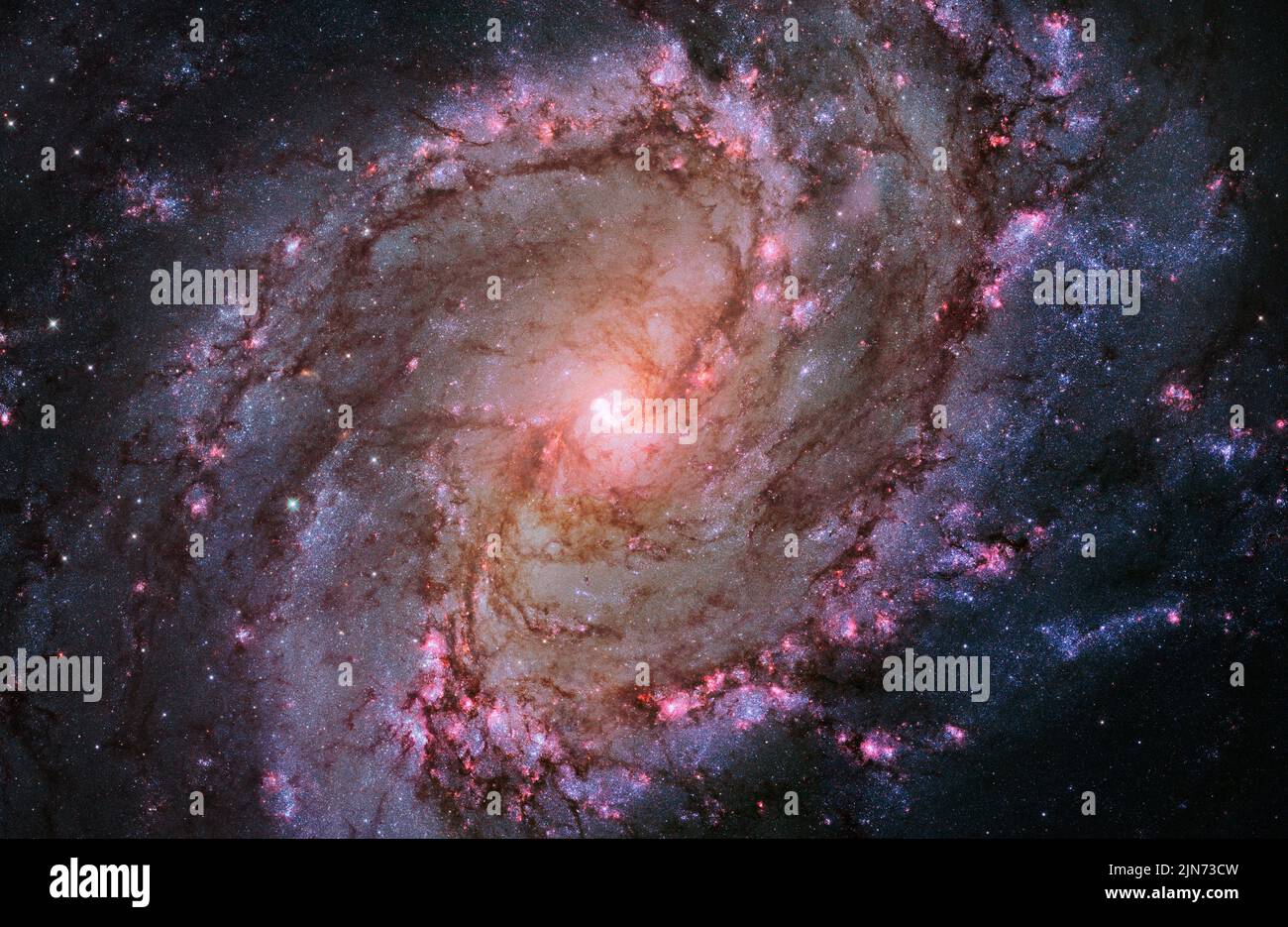 WELTRAUM - 09. Januar 2014 - die lebendigen Magentas und der Blues in diesem zusammengesetzten Bild des Hubble-Weltraumteleskops der Spiralgalaxie M83 offenbaren t Stockfoto