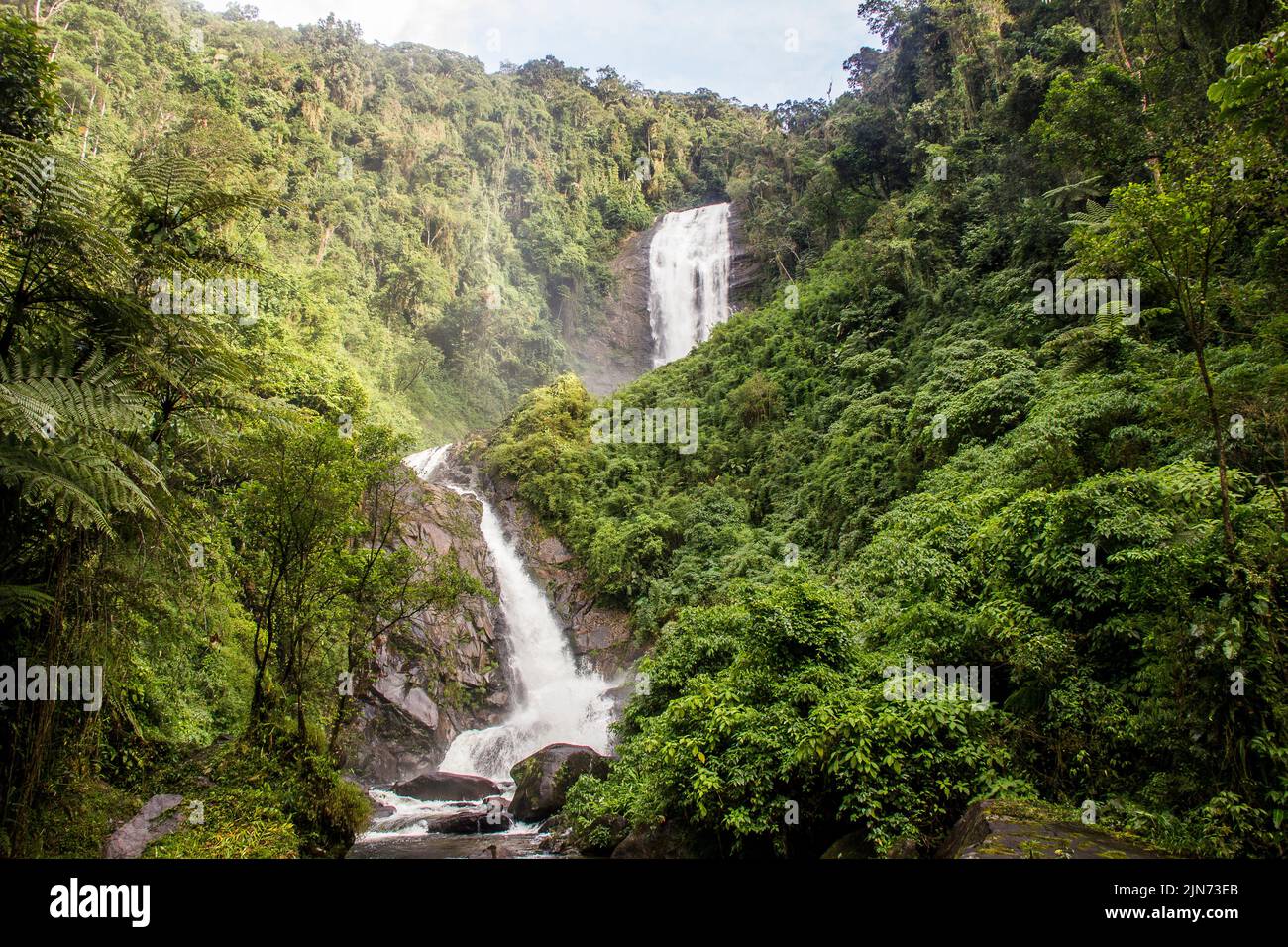 Deer Wasserfall - Bocaina Range Stockfoto