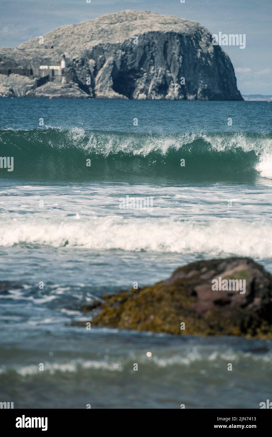 Bass Rock vom Seacliff Beach in der Nähe von North Berwick, East Lothian, Schottland Stockfoto
