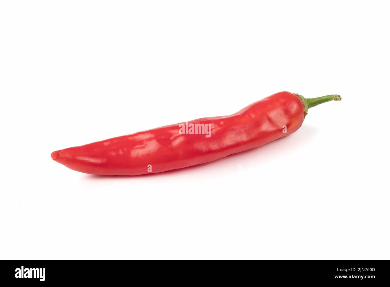Rote Chilischoten oder Chili Cayennepfeffer auf weißem Hintergrund isoliert. Bio-Chilischote isoliert auf hellem Hintergrund. Nahaufnahme. Stockfoto
