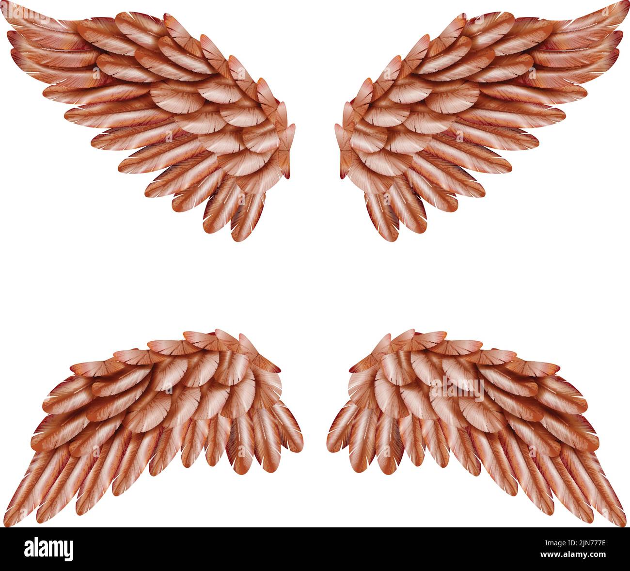 Zwei Paare kleiner brauner Vogelflügel, die isoliert auf gesetzt sind Weißer Hintergrund realistische Vektordarstellung Stock Vektor