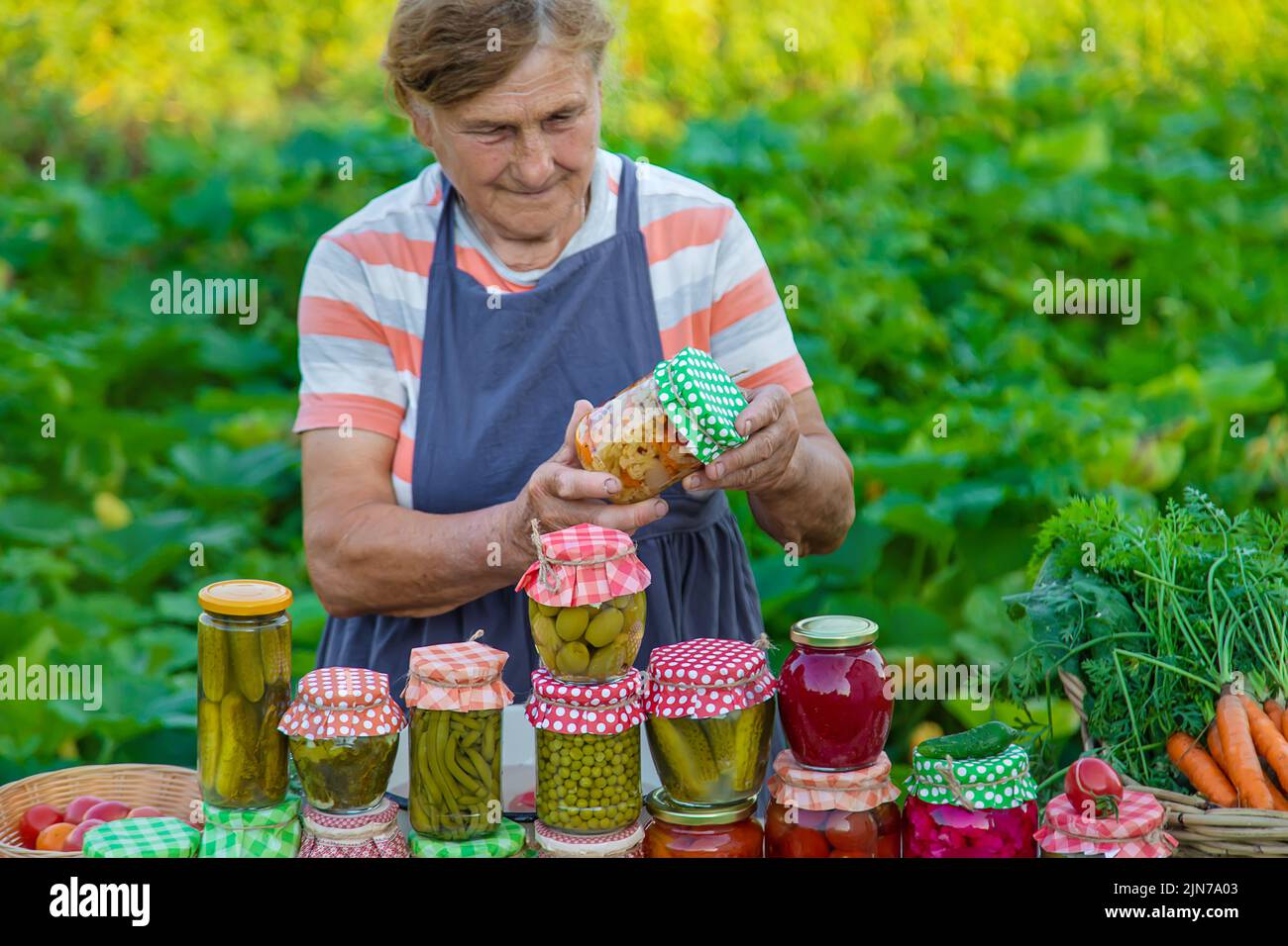 Ältere Frau, die Gemüse in Gläsern konservieren. Selektiver Fokus. Essen. Stockfoto