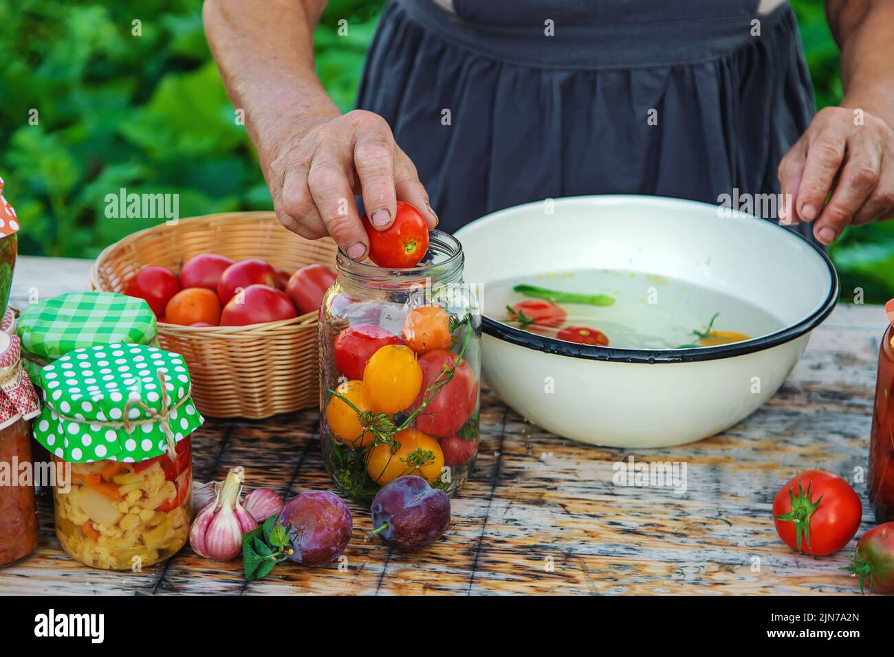 Ältere Frau, die Gemüse in Gläsern konservieren. Selektiver Fokus. Essen. Stockfoto