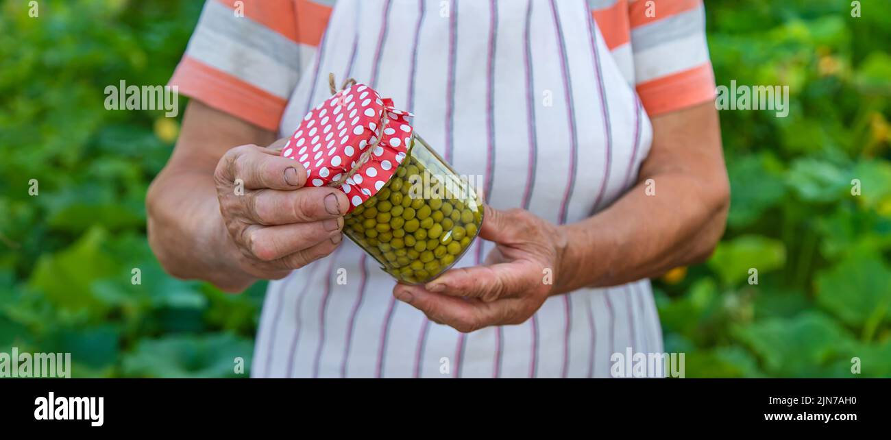 Ältere Frau, die Gemüse in Gläsern konservieren. Selektiver Fokus. Essen. Stockfoto