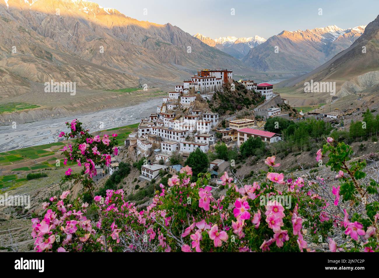 Ein Blick auf das Kee Gompa (Kee Kloster) im Spiti Valley, Indien Stockfoto