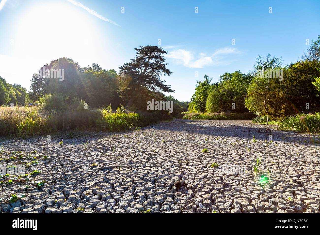9. August 2022 - London, Großbritannien, der Zierwasserteich im Wanstead Park trocknete aufgrund der Hitzewellen und der hohen Temperaturen in der Stadt aus Stockfoto