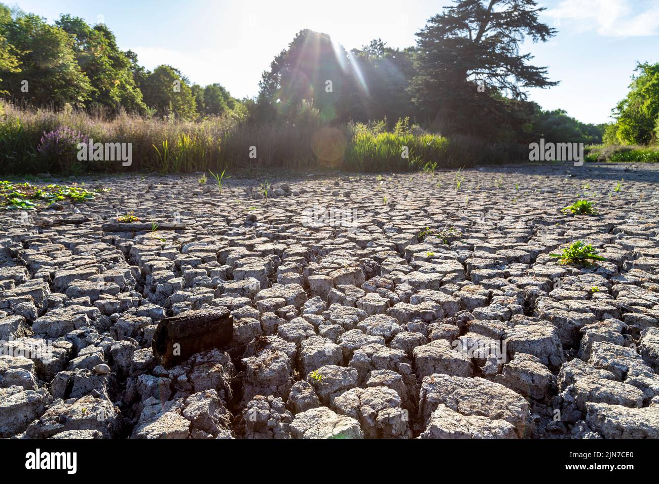 9. August 2022 - London, Großbritannien, der Zierwasserteich im Wanstead Park trocknete aufgrund der Hitzewellen und der hohen Temperaturen in der Stadt aus Stockfoto