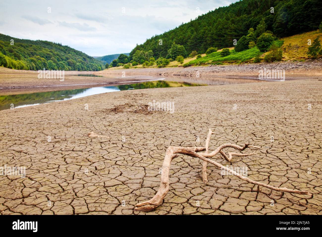 Trockenheit am Ladybower-Stausee Stockfoto