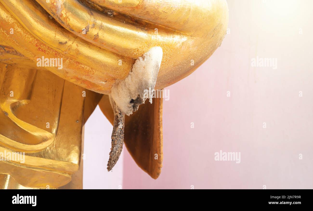 Es gibt ein weißes Bienennest, das unter einem Arm einer goldenen großen Buddha-Statue auftritt, die glatte Haut hat. Stockfoto