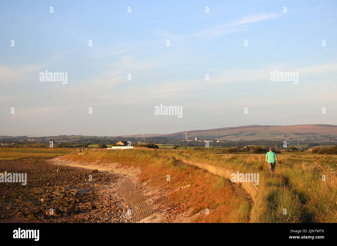 Frau, die am sonnigen Augustabend auf dem Lancashire Coastal Way am Fluss Lune in der Nähe von Glasson in Lancashire spazieren geht. Der Wald von Bowland liegt in der Ferne. Stockfoto