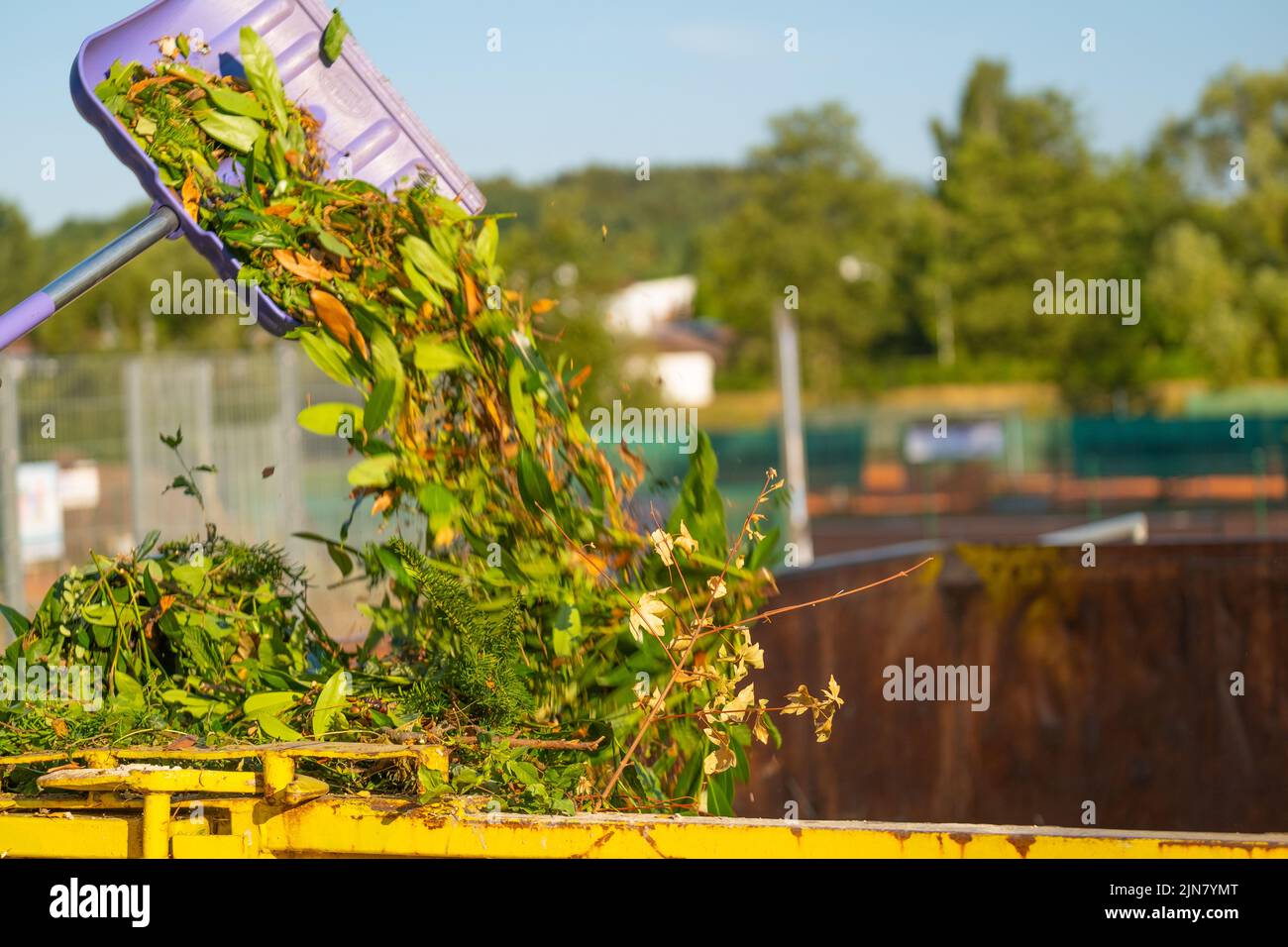 Kompost mit Pflanze. Grüner Kompost auf der Schaufel ergießt sich in einen Metalltank. Zweige, Blätter und Staub in einem Müllcontainer. Bio Gemüsekompost .Bio Müll. Stockfoto