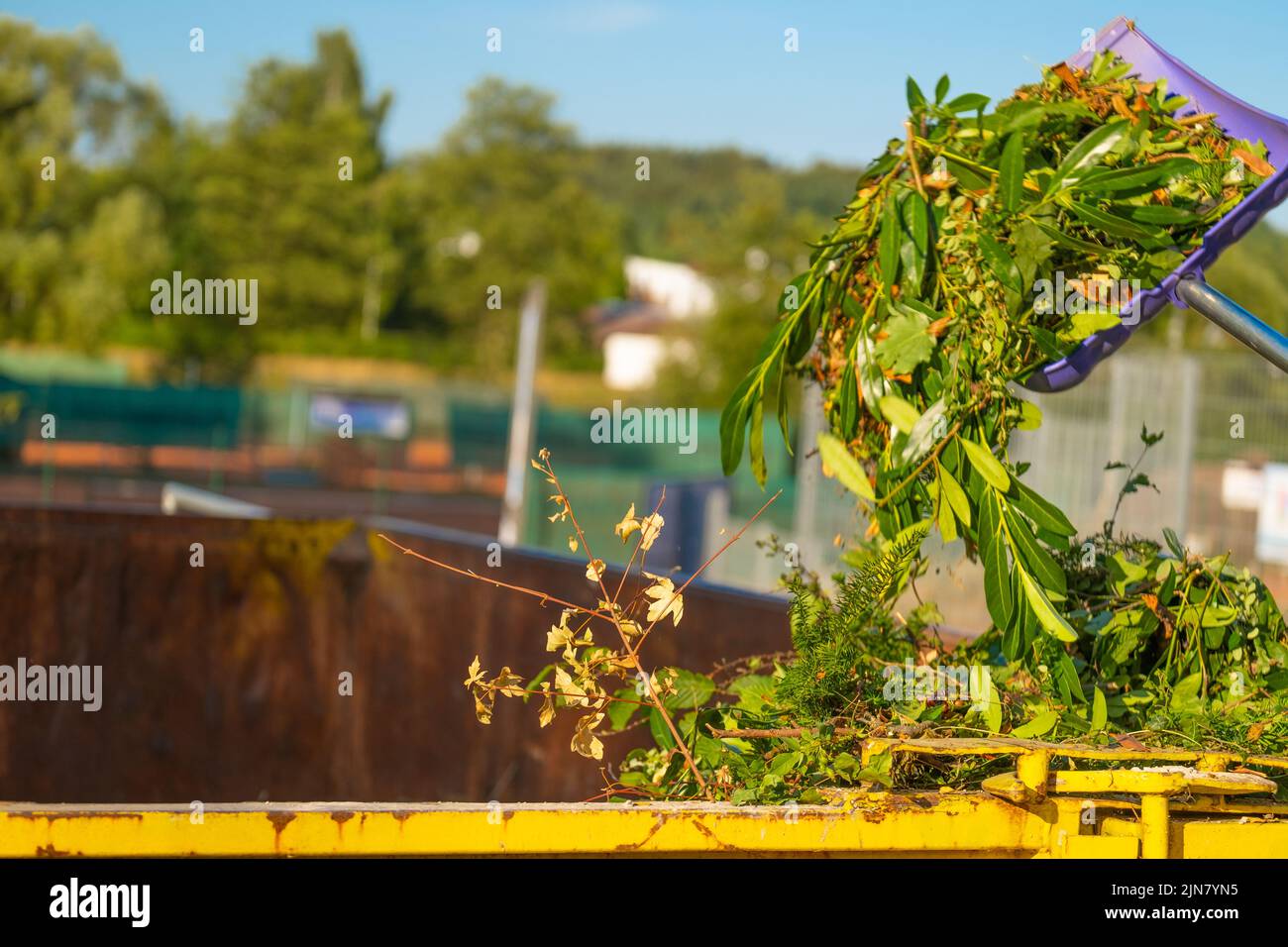 Grüner Kompost auf der Bratschaufel gießt in eine tank.compost mit anderer Pflanze. Zweige, Blätter und Staub in einem Müllcontainer.Gemüsekompost .Bio Stockfoto