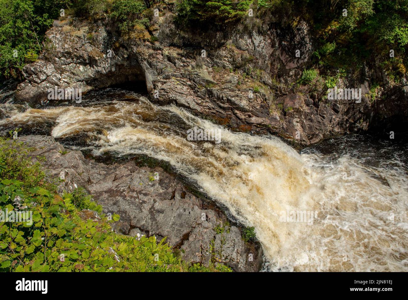 Falls of Shin, in der Nähe der Bonar Bridge, Highland, Schottland Stockfoto