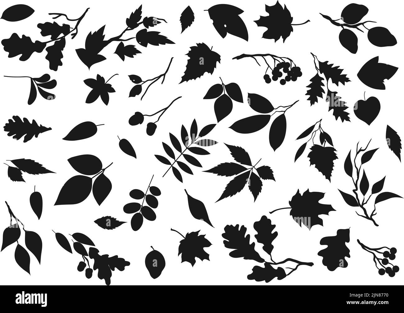 Symbole für Blattsilhouetten, Baumblätter und Pflanzensamen. Vector isolierte Waldbaumblatt aus Ahorn, Birke oder Pappel, Eberesche und Eicheln, Ulme, Kastanie, Espe und Pappel Sprossen Zweige Stock Vektor