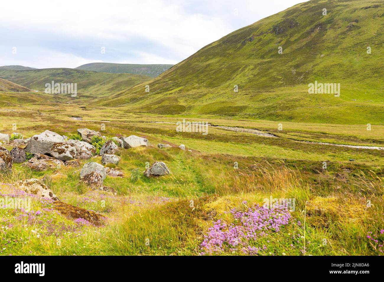 Schottische Landschaft im Cairngorms-Nationalpark in der Nähe von Balmoral, Schottland, Sommer 2022, Großbritannien, Großbritannien Stockfoto