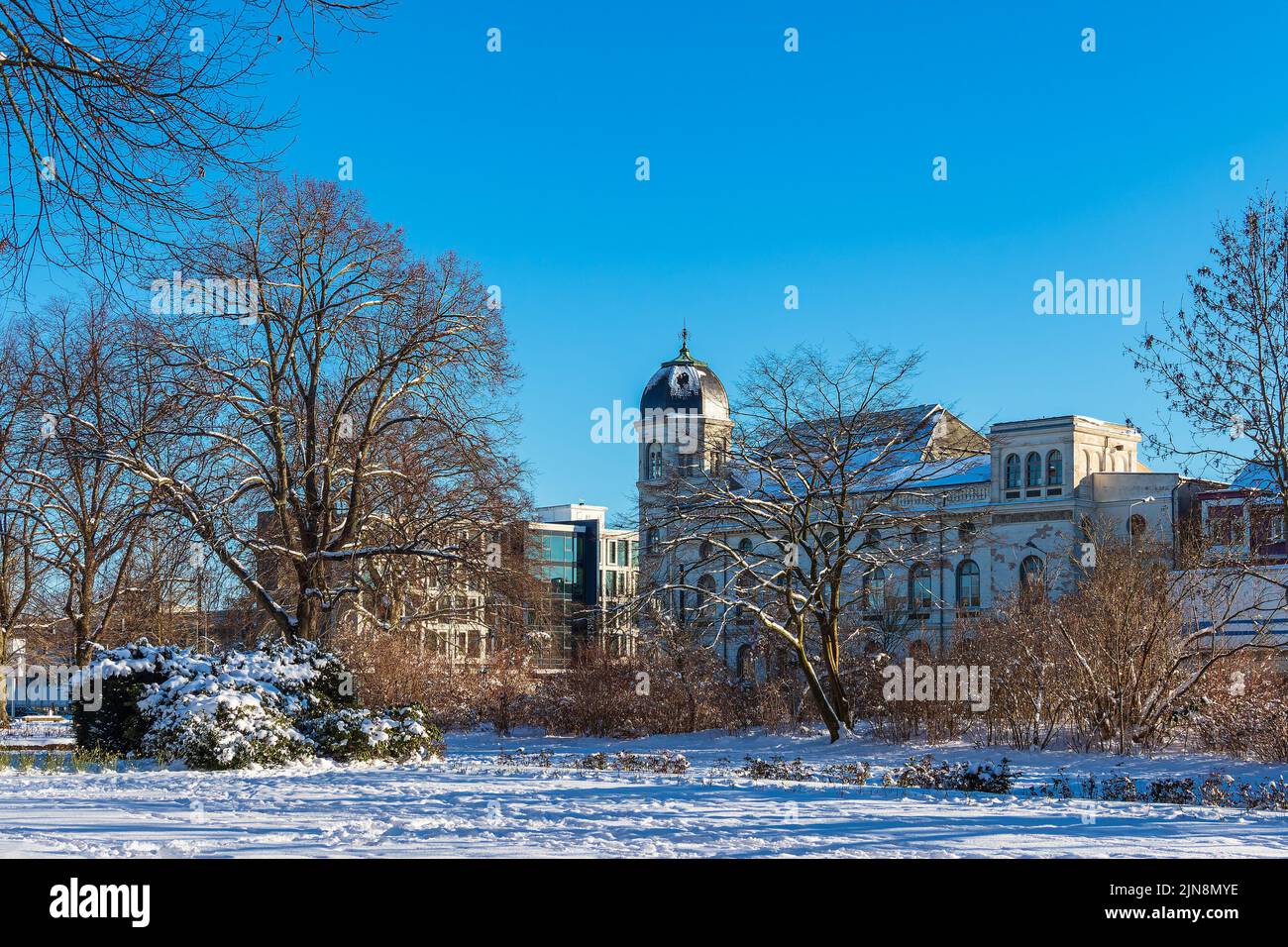 Blick über den Rosengarten in Rostock. Stockfoto