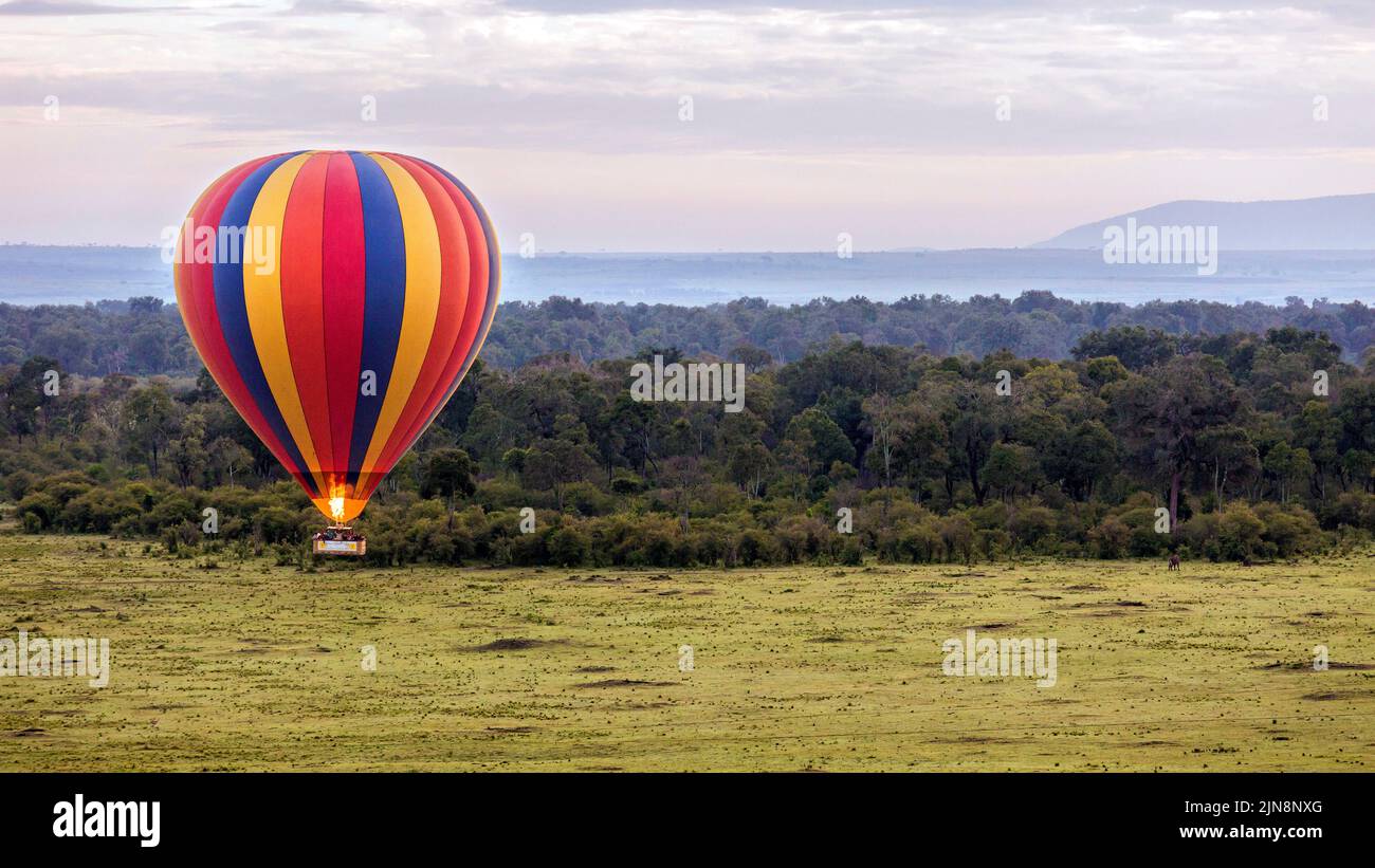 Heißluftballonfahrten über den Ebenen der Maasai Mara, Kenia. Afrika Stockfoto