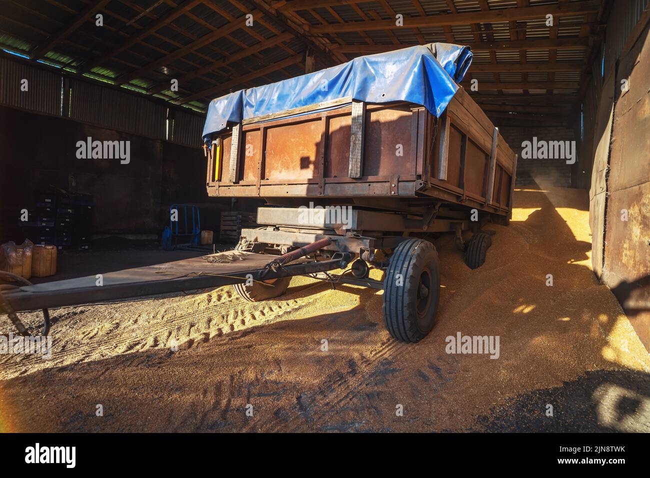 Prozess der Entladung von Weizen im Kornspeicher. Lagerung im Getreidelager Landwirtschaft. Stockfoto