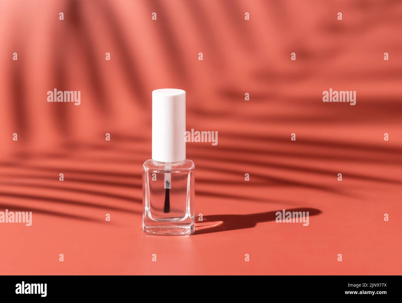 Nachfüllbare Flasche aus klarem Glas mit Bürstendeckel auf rosa, Palmblatt-hartem Schatten, Nahaufnahme, Nachbildung. Hautpflege oder Nagelprodukt. Naturkosmetik, minimal c Stockfoto