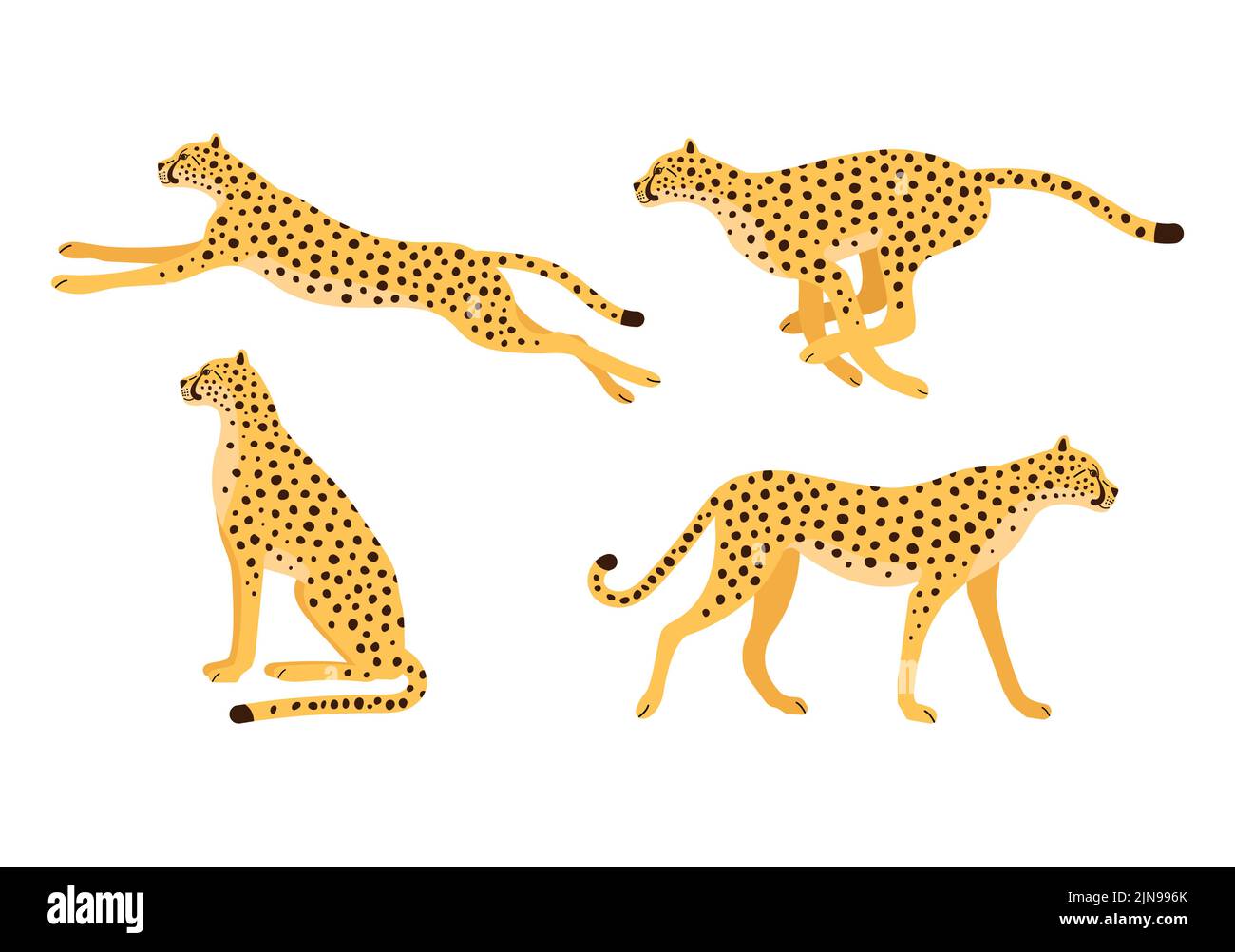 Vektor-Set von flachen handgezeichneten Gepard isoliert auf weißem Hintergrund Stock Vektor