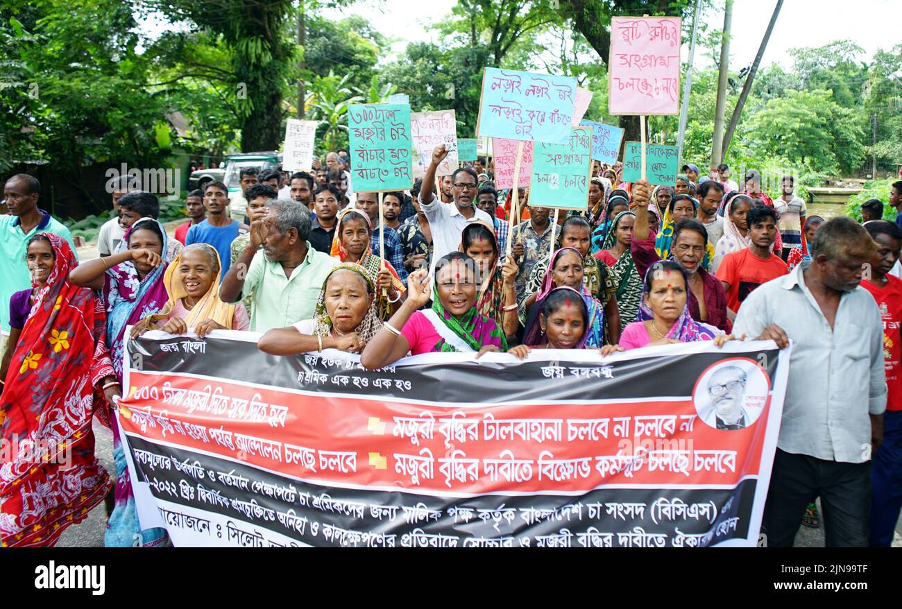 Sylhet, Sylhet, Bangladesch. 9. August 2022. Die Teelöhne von Sylhet streikten 2 Stunden lang und forderten Lohnerhöhungen und Landrechte. Teeleben aus Sylhet Valley nahmen am Mittwoch von 9 bis 11 Uhr nicht an der Arbeit Teil und kamen auf die Straße und bildeten eine Menschenkette. Die Führer der Teearbeiter sagten, dass die Arbeiter von 241 Teeplantagen im Land ihre Agitation fortsetzen werden, bis ihre Forderungen erfüllt sind. Wenn die Löhne nicht rechtzeitig erhöht werden, haben die Teearbeiter angekündigt, in Zukunft eine größere Bewegung zu machen. In der Zwischenzeit führen die Teeleiterinnen von Moulvibazar einen zweistündigen Streik durch, um ein Eintreten zu fordern Stockfoto