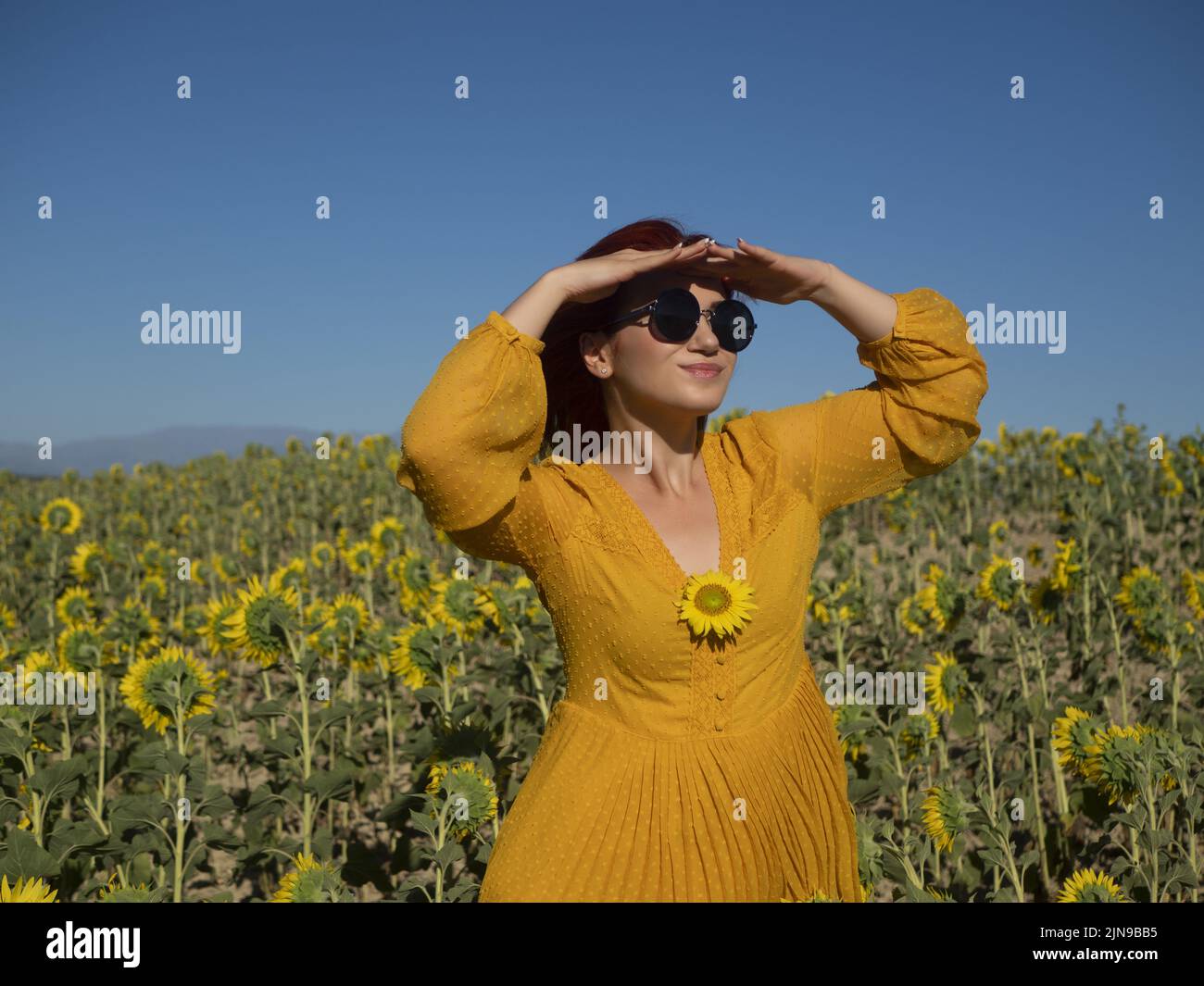 Inhalt Weibchen in Sonnenbrillen, die mit den Händen auf der Stirn in die Ferne blicken, während sie am Sommertag auf der Plantage mit Sonnenblumen stehen Stockfoto