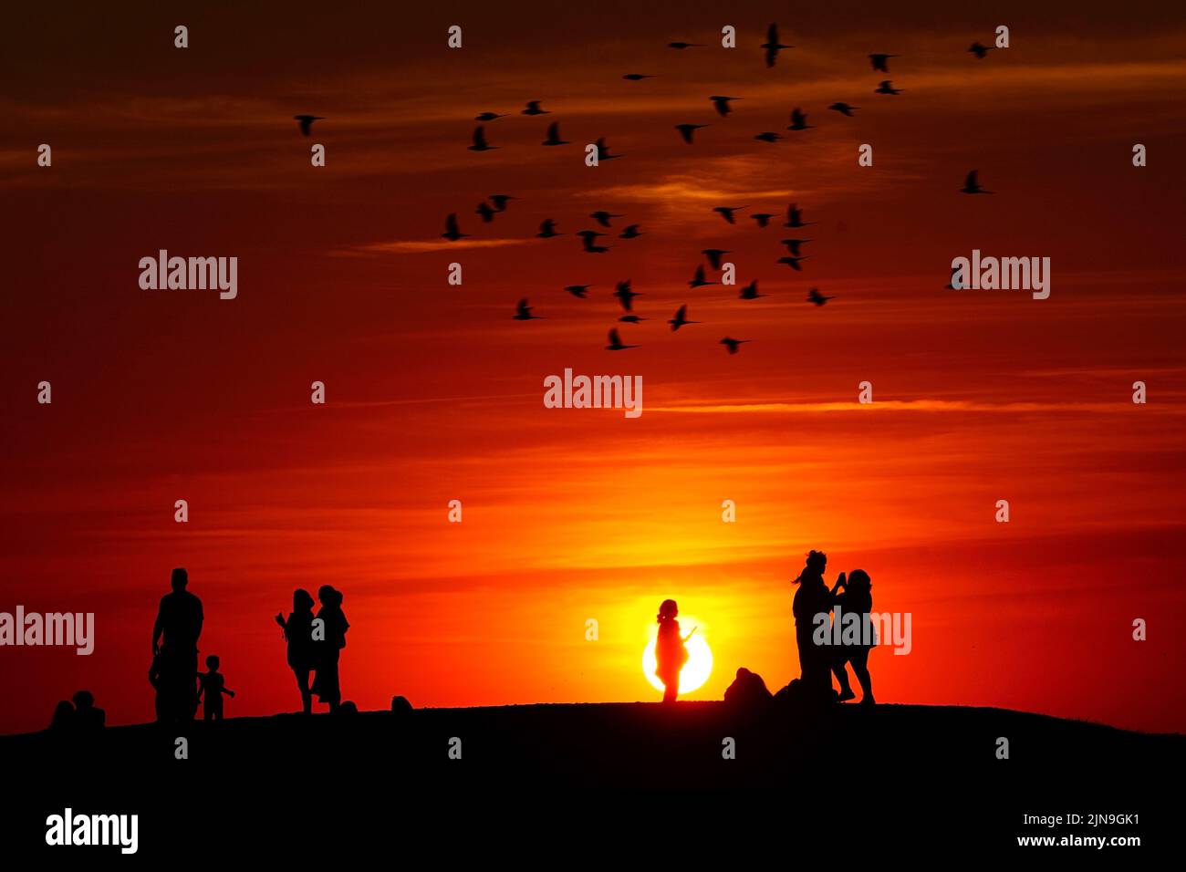 Gruppen von Menschen beobachten den Sonnenuntergang von einem Hügel in Ealing, West-London, während ein Sommer voller Rohrleitungsverbote und Feuerwarnungen anhält, wobei in weiten Teilen des Landes ein Wärmestandalarm ausgelöst wird. Bilddatum: Dienstag, 9. August 2022. Stockfoto