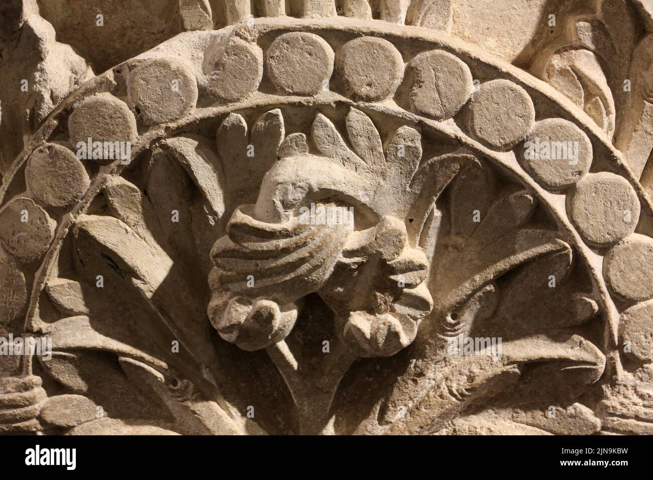 Grand chapiteau de colonne à feuilles d'acanthes sur l'avant-nef de l'Abbaye de Cluny. XII ème siècle. Musée municipal d’Art et d’Archéologie. Musée O Stockfoto