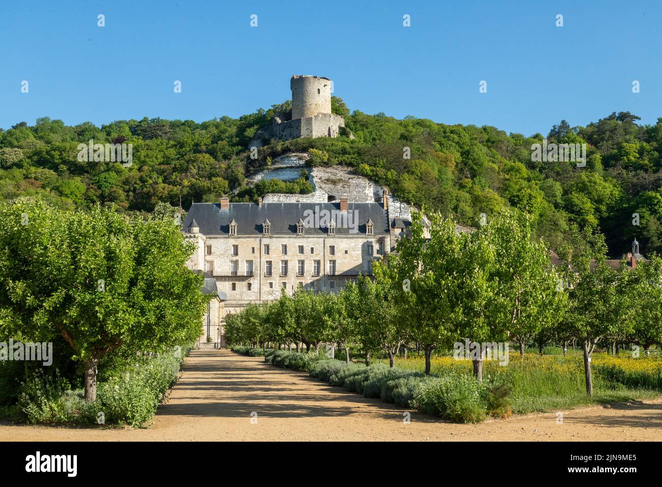 Frankreich, Val d'Oise, Vexin Francais Natural Regional Park, La Roche Guyon, bezeichnet als Les Plus Beaux Villages de France (die schönsten Dörfer von F Stockfoto