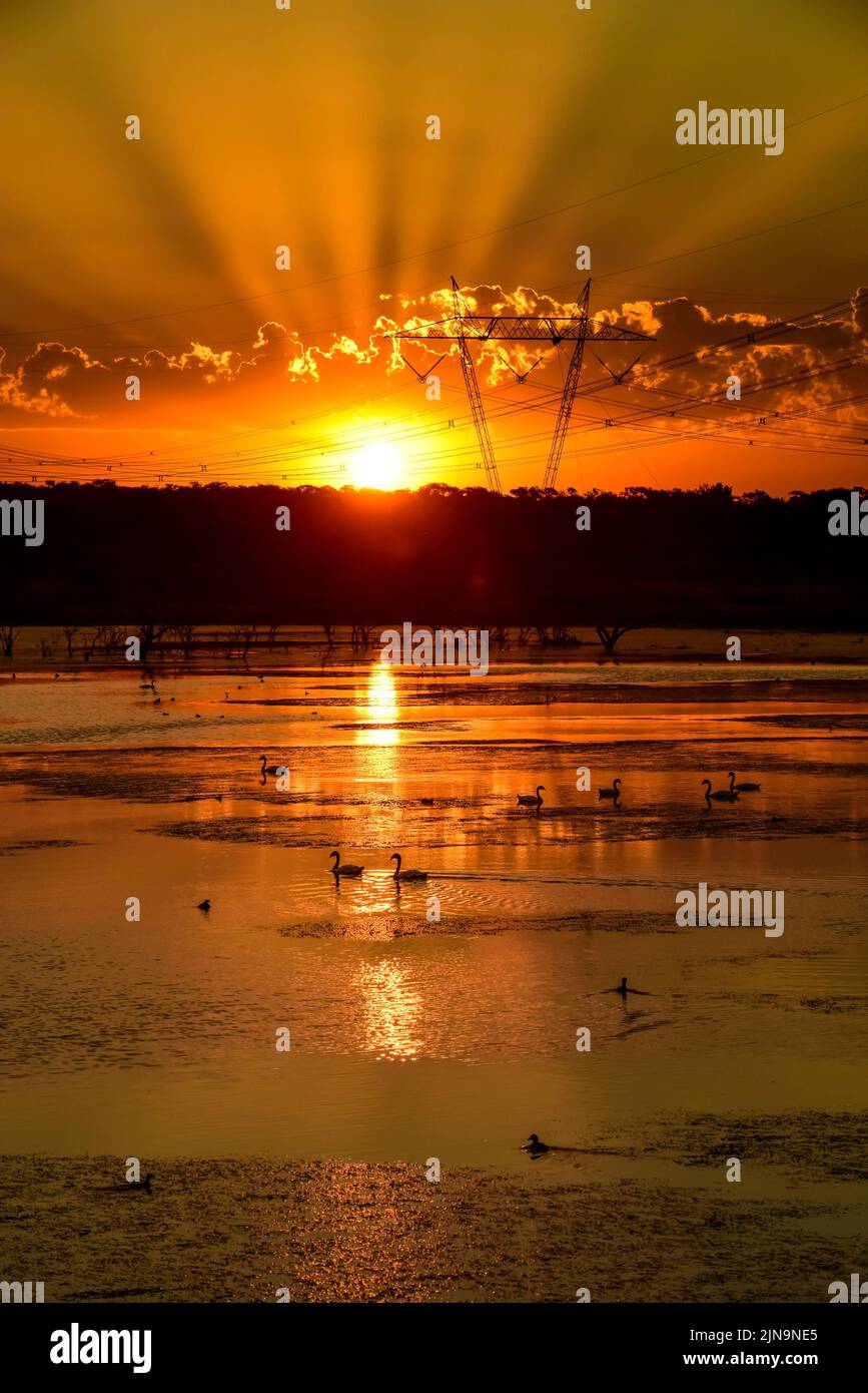 Pampas Sonnenuntergang , in der Provinz La Pampa Patagonien Argentinien. Stockfoto