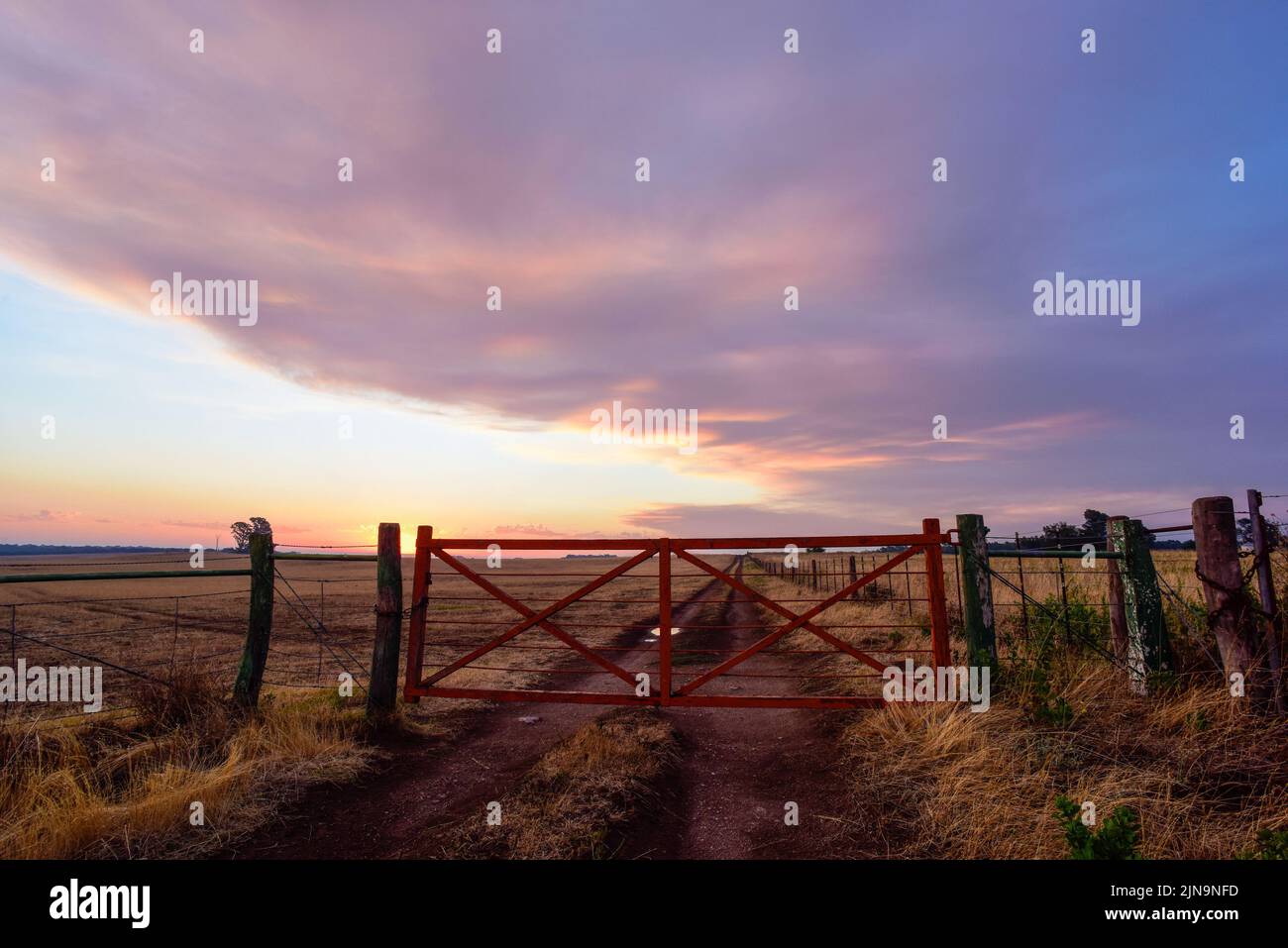 Pampas Sonnenuntergang , in der Provinz La Pampa Patagonien Argentinien. Stockfoto