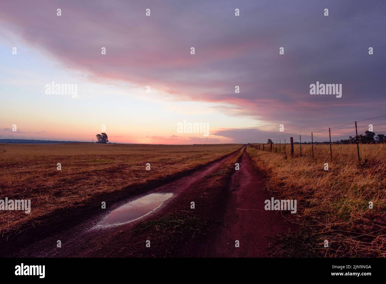 Pampas Sonnenuntergang , in der Provinz La Pampa Patagonien Argentinien. Stockfoto