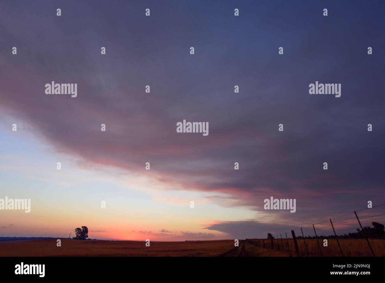 Pampas Sonnenuntergang , in der Provinz La Pampa Patagonien Argentinien. Stockfoto