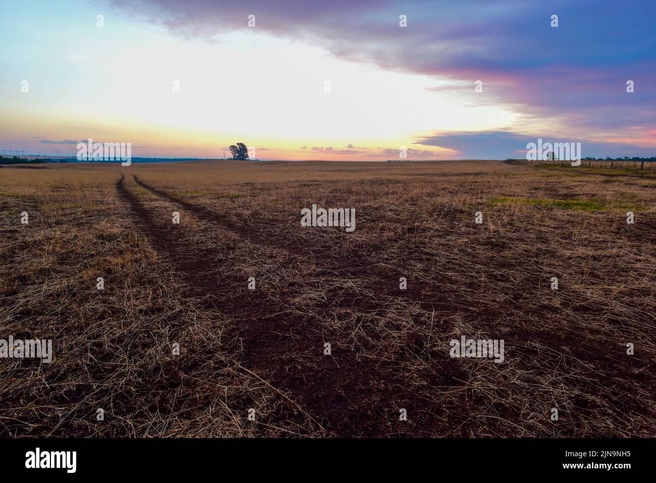 Pampas Sonnenuntergang , in der Provinz La Pampa Patagonien Argentinien. Stockfoto