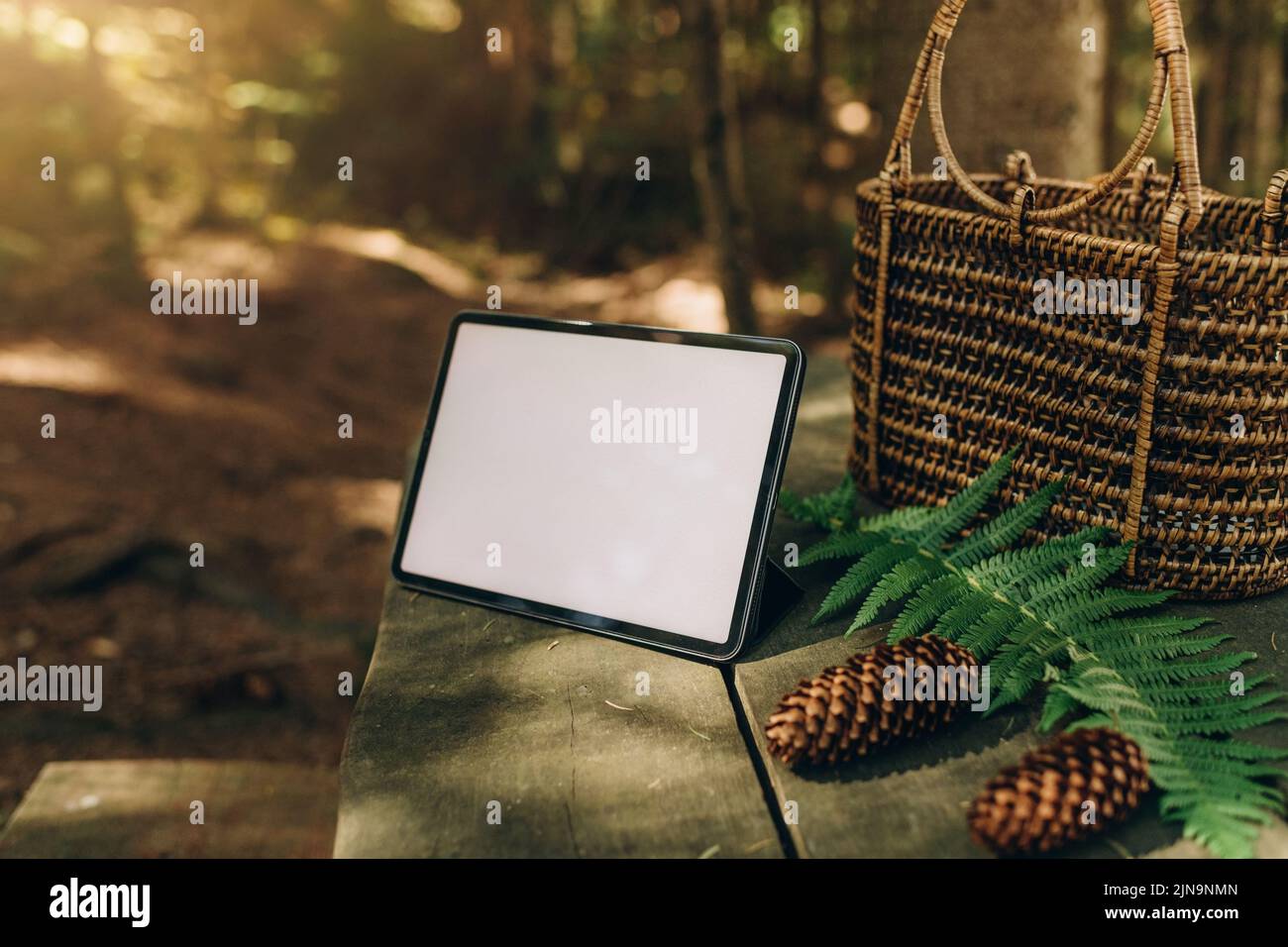 Tablet-Mockup auf dem Hintergrund der Natur im Wald. Arbeitsplatz in der Natur, ipad-Modell mit leerem weißen Bildschirm Stockfoto