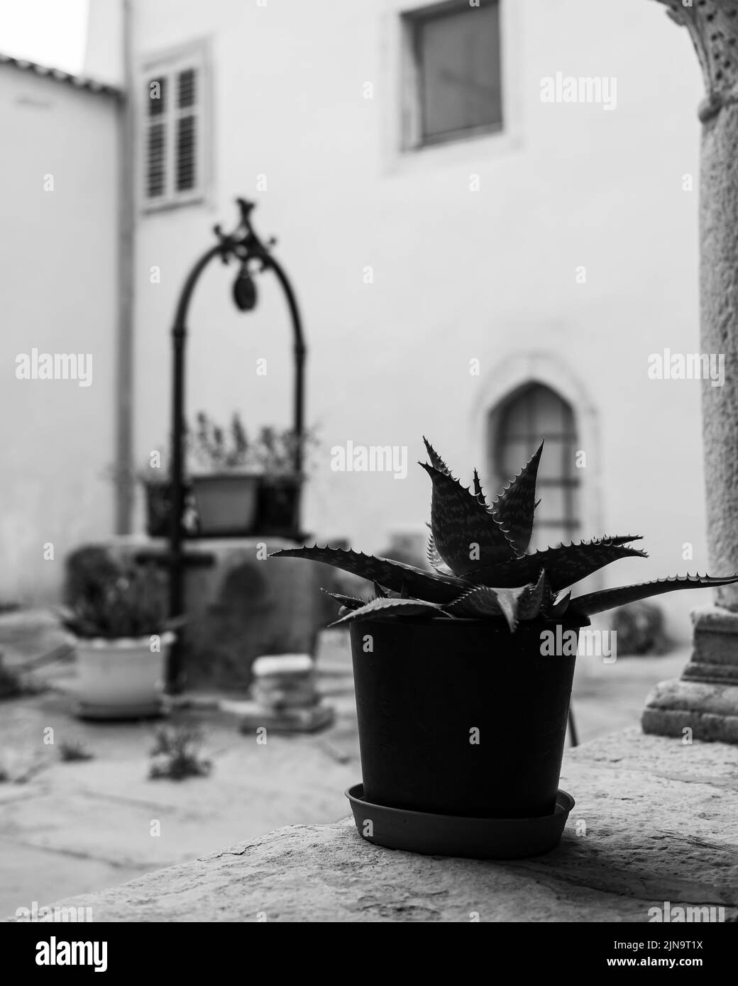 Alter Brunnen, Innenhof der Kirche Kloster St. Franziskus in Cres (Kroatien) Stockfoto