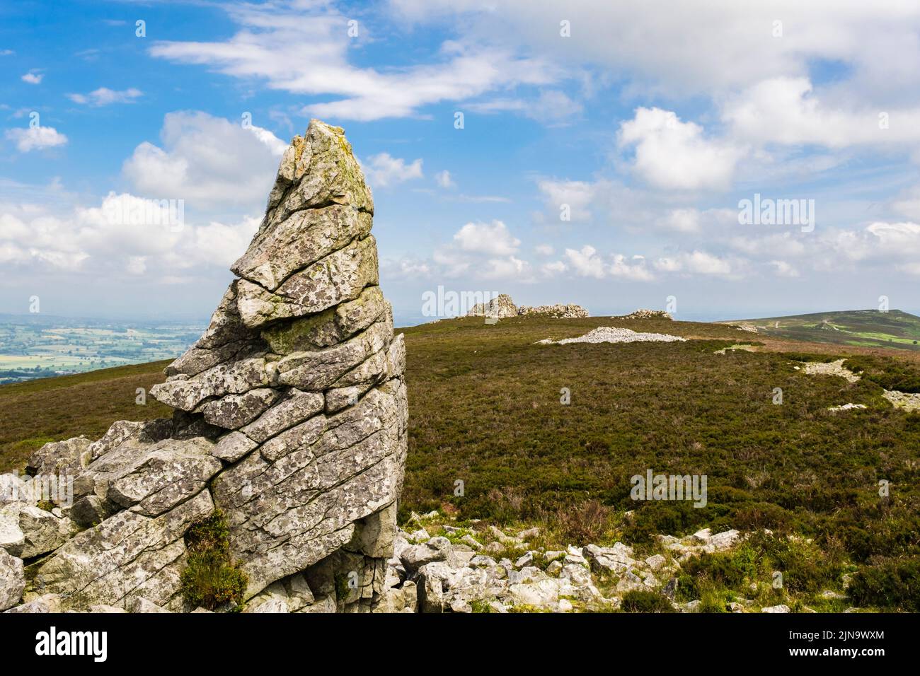 Manstone Rock Quarzit-Aufschluss entlang des Stiperstones Hill Summit Ridge. Shropshire, England, Großbritannien. Die Stiperstones sind ein nationales Naturreservat Stockfoto