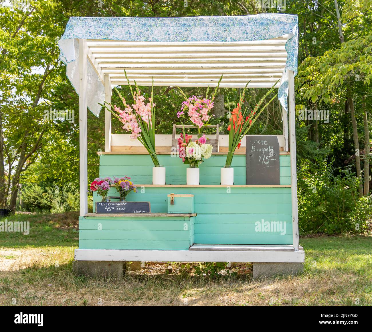 Blumenstand in Sheltere Island, NY Stockfoto