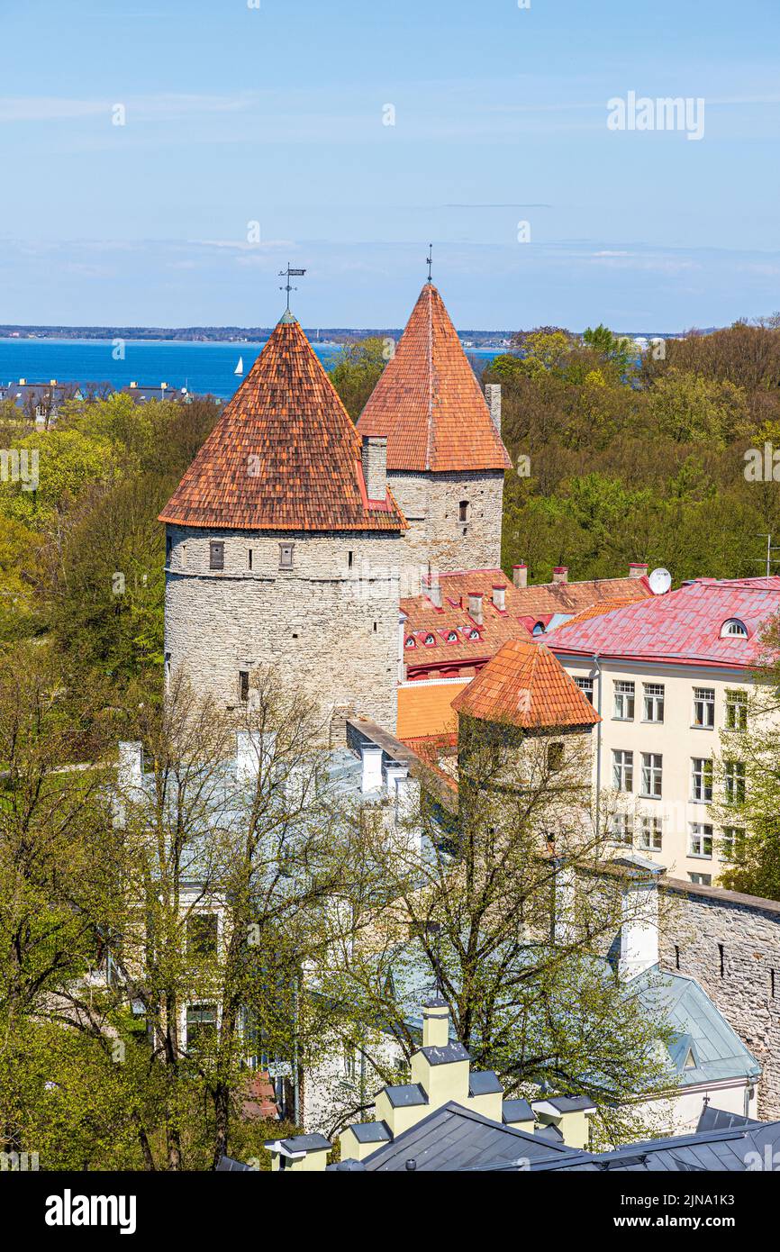 Blick von der Oberstadt auf einige der Verteidigungsmauern rund um die Altstadt von Tallinn, der Hauptstadt Estlands Stockfoto